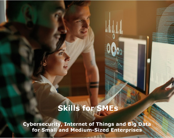 Skills for SMEs: A vision and roadmap to foster adoption of cybersecurity, big data and IoT